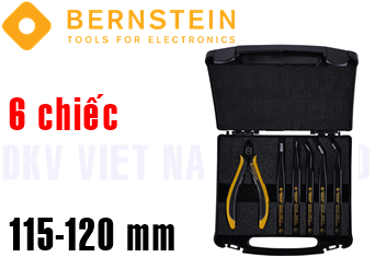 Bô dụng cụ chống tĩnh điện Bernstein 2210