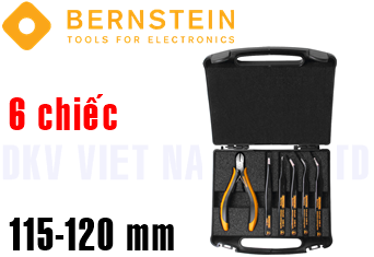 Bô dụng cụ chống tĩnh điện Bernstein 2212