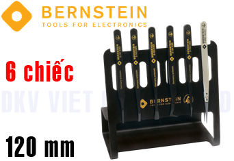 Bô dụng cụ chống tĩnh điện Bernstein 5-190 V