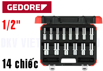 Bộ dụng cụ Gedore Red R61003114