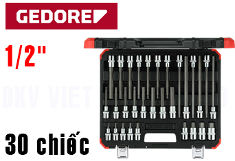 Bộ dụng cụ Gedore Red R68003030
