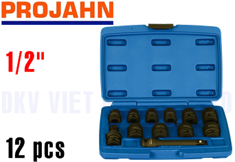 Bộ khẩu Projahn 3086
