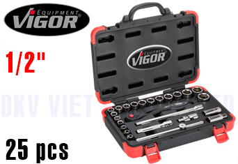 Bộ khẩu Vigor V2460N