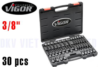 Bộ khẩu Vigor V6019