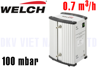 Bơm chân không Welch MP 065 E