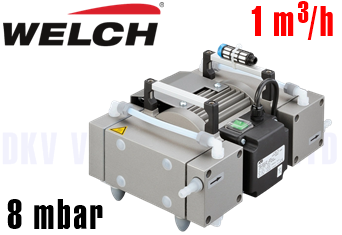 Bơm chân không Welch MP 101 Z