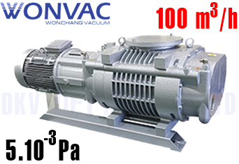 Bơm chân không WonVac BA-100