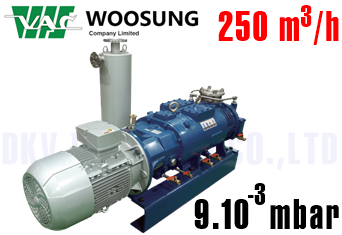 Bơm chân không Woosung MDP300S
