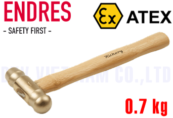 Búa chống cháy nổ Endres 1020700S
