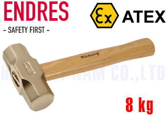 Búa chống cháy nổ Endres 1138000S