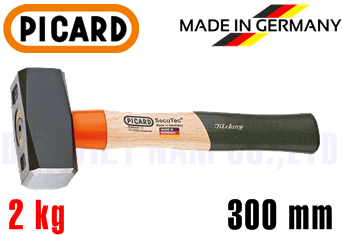Búa Picard 0004302-2000