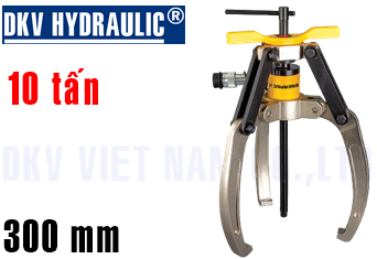 Cảo thủy lực 10 tấn LGH310