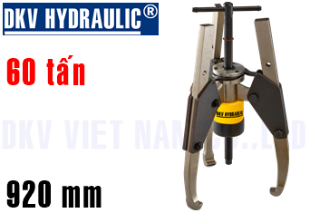 Cảo thủy lực 60 tấn SGH64