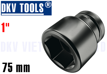 Đầu chụp bulong D80151075