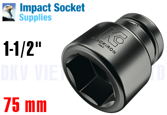 Đầu chụp bulong ISS 24M75
