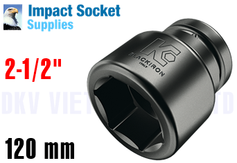Đầu chụp bulong ISS 40M120