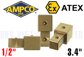 Khẩu chống cháy nổ Ampco CC5893