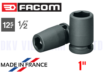 Khẩu Chụp Bulong Facom NS.1PA