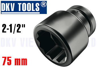 Khẩu chụp bulong 21275P