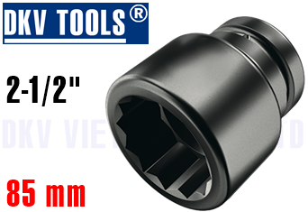 Khẩu chụp bulong 21285P