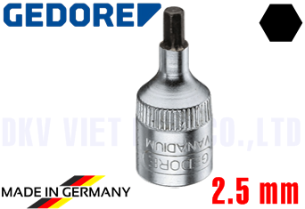 Khẩu Chụp Bulong Gedore IN 20 2,5