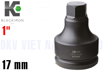 Khẩu lục chìm Blackiron SD100-17M	