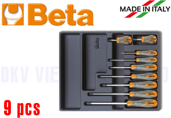 Khay dụng cụ Beta T161