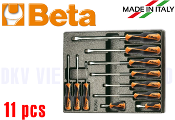 Khay dụng cụ Beta T167