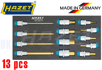 Khay dụng cụ Hazet 163-220/13