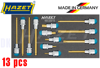 Khay dụng cụ Hazet 163-222/13