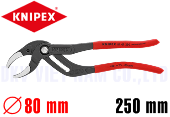 Kìm mỏ quạ Knipex 81 01 250