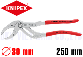 Kìm bơm nước Knipex 81 03 250