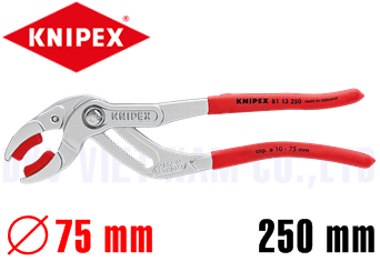 Kìm bơm nước Knipex 81 13 250