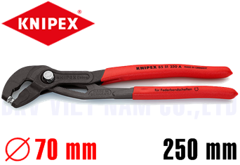 Kìm bơm nước Knipex 85 51 250 A