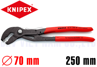 Kìm bơm nước Knipex 85 51 250 AF