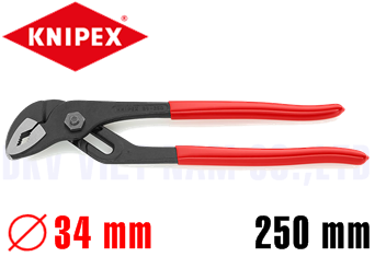 Kìm bơm nước Knipex 89 01 250