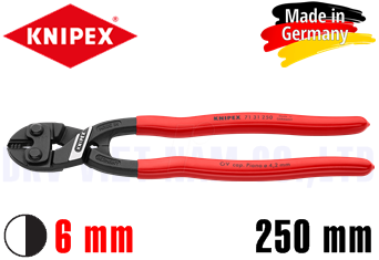 Kìm cắt Knipex 71 31 250