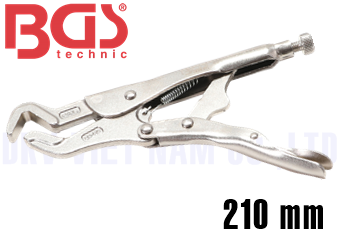 Kìm chết BGS 491