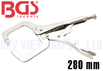 Kìm chết BGS 496