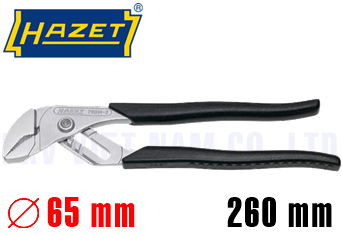 Kìm Mỏ Quạ HaZet 760-N2