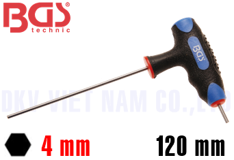 Lục giác BGS 4010-4