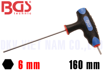 Lục giác BGS 4010-6