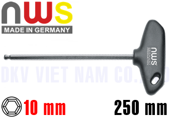 Lục giác chữ T NWS 305-10,0