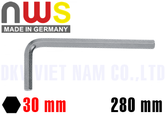 Lục giác NWS 300-30,0