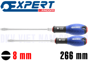 Tô vít 2 cạnh Expert E160203