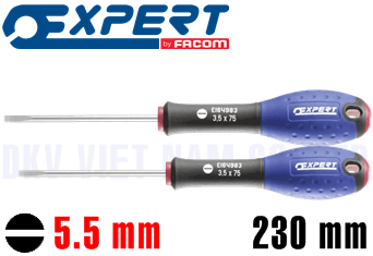 Tô vít 2 cạnh Expert E165476