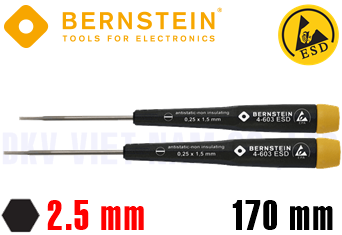 Tô vít chống tĩnh điện Bernstein 6-636