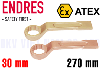 Tròng đóng chống cháy nổ 0100251CEndres 