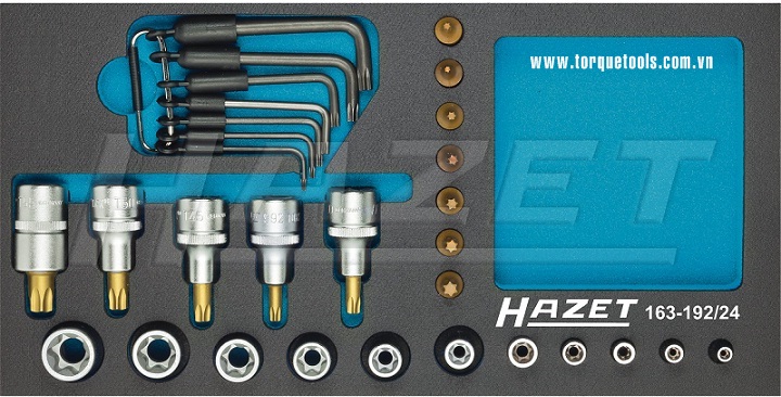 Khay dụng cụ Hazet 163-192/24, Hazet plastic foam inserts 163-192/24