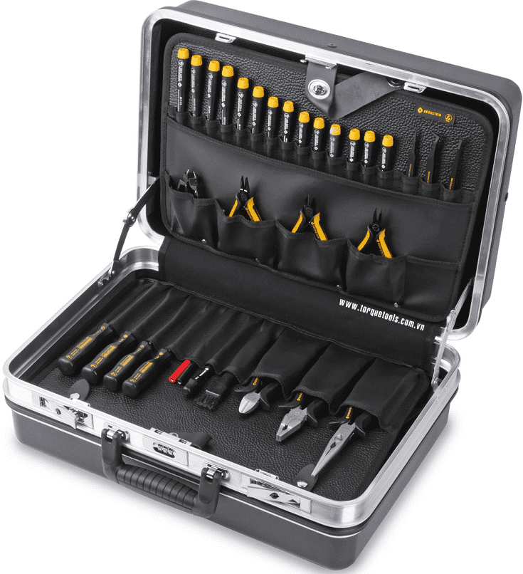 bo dung cu chong tinh dien bernstein 6900, bernstein esd tweezers sets 6900